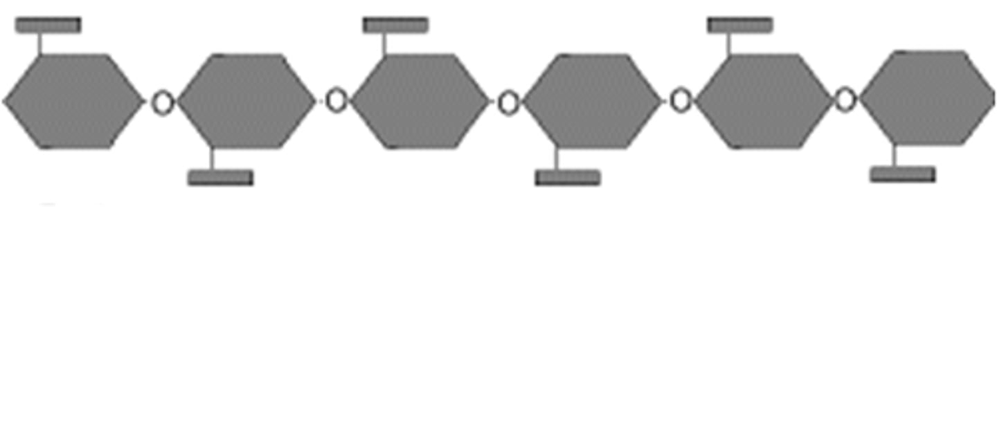 <p>A physical plant defence that acts as a tough and strong polymer used to reinforce cell walls, providing strength</p>
