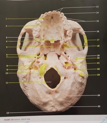 <p>6</p>