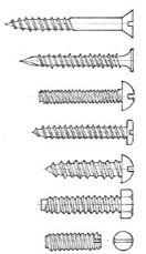 <p>Screws</p>