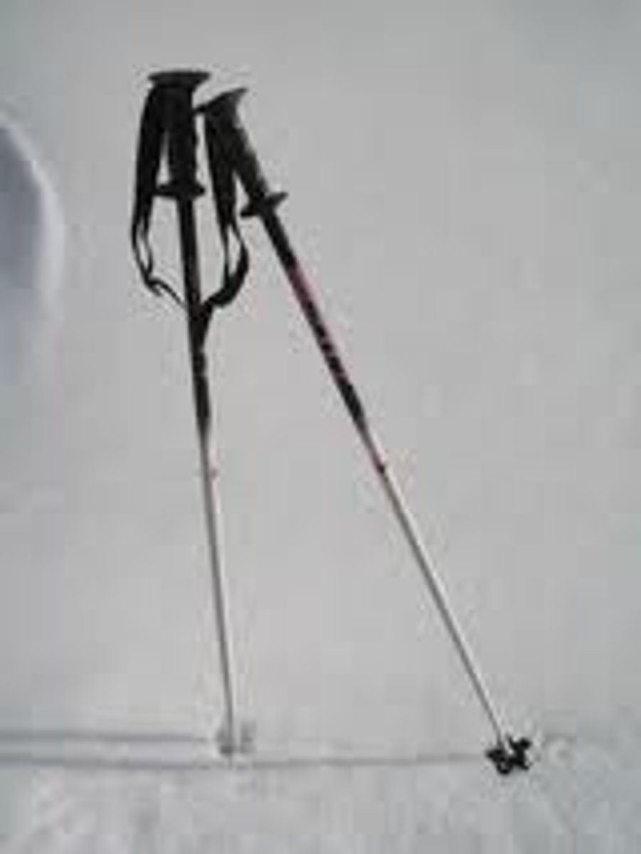 <p>un bâton de ski</p>