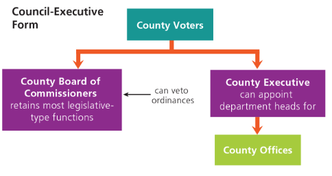 <p>Council Executive Form</p>