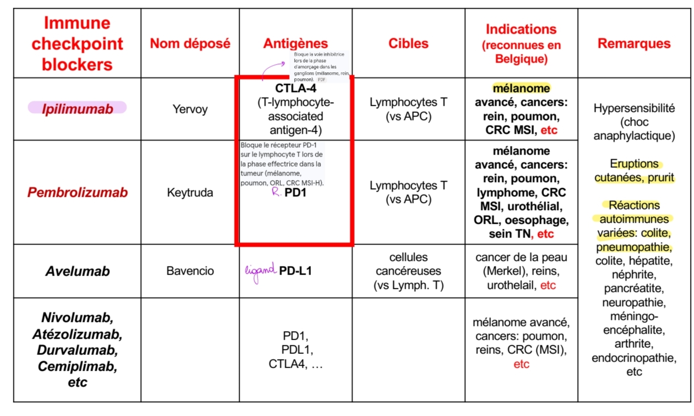 <p>CTLA-4</p>