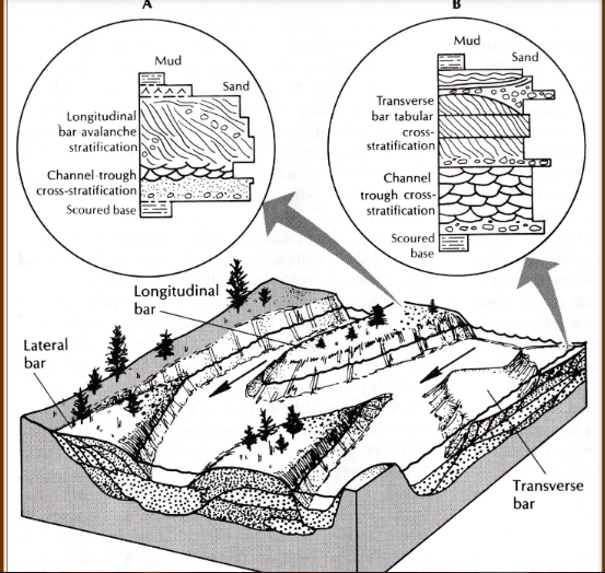 <p>Lateral bar, longitudinal bar, transverse bar</p>