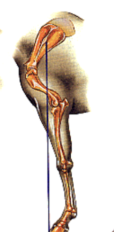 <p>what is this an image of</p>