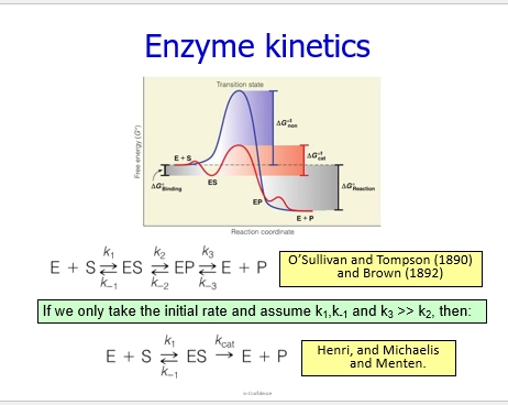 <p>(what do we want)</p><ul><li><p>we want to experimentally determine Km ([S] at half max velocity) &amp; Vmax (maximum velocity / rxn rate) - however these cannot be directly measured</p></li><li><p>to figure these out, we must find other aspects of the MM equation, and rearrange to solve for what we want</p></li><li><p>eg [S], [E] (known at the start). [P] (can be measured), V0 (initial catalysis rate with no backwards rxn - so the model fits)</p></li></ul><p>(first attempts in history)</p><ul><li><p>Invertase was looked at first (abundant in nature) - which takes Sucrose (S) => breaks a Glycosidic bond (ES) => Forms Glucose &amp; Fructose (P)</p></li><li><p>the Catalysis Rate V, increased with [S] - upto a certain point (Osullivan &amp; Tompson &amp; Brown) = a Rectangular Hyperbole Curve</p></li><li><p>not expected in chemistry - incrasing [S] should increase with rxn rate forever!</p></li><li><p>from this, they determined the E+S <=> ES <=> EP <=> E + P, model of Catalysis rxn</p></li><li><p>however - each step had its own rate. 6 rates, made it complex - how would this be described on a single curve?</p></li><li><p>Henri &amp; MIchaleis Menton came in - experimentally setting up the rxn in a way without P at the start, so by only measuirng V0, there cannot be any back rxn from Products</p></li><li><p>can also assume, that the ES<=>EP step is very fast (non covalent step)</p></li><li><p>this provides only 3 rate parameters, that can be described by the curve (easy to model, easy to experimentally determine)</p></li></ul><p>(MM equation)</p><ul><li><p>fits the invertase experimental data well. provides evidence for it being suitable.</p></li></ul><p></p>