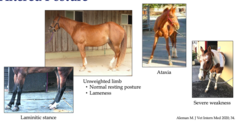 <p>often due to pain, weakness, neurologic deficits</p>