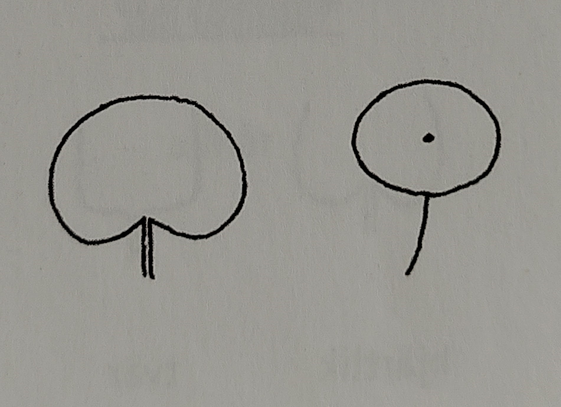 <p></p>