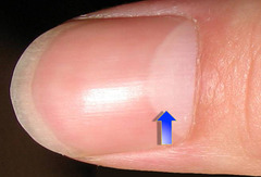 <p>nails</p>