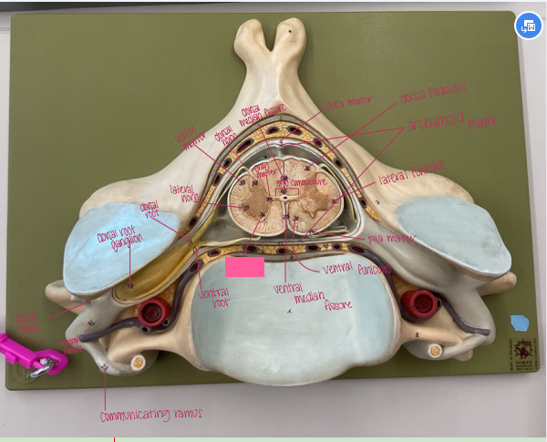 <p>What is being shown? </p>