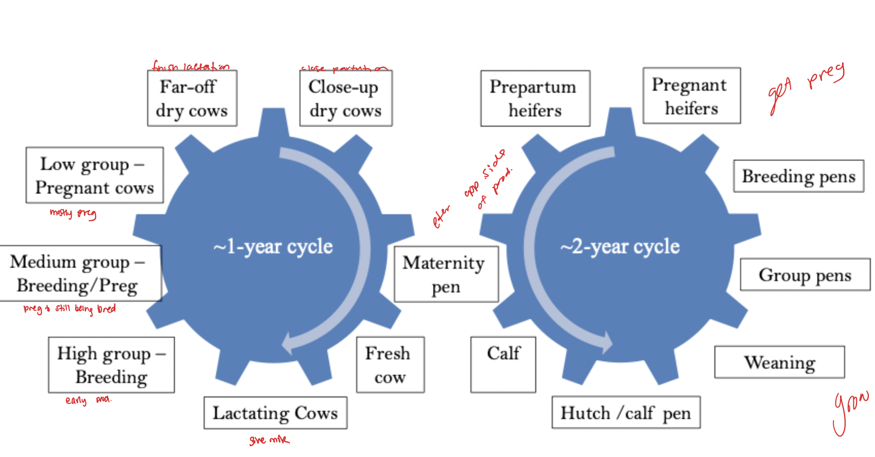 knowt flashcard image