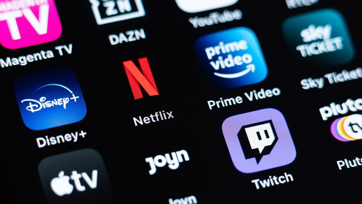 <p>subscription streaming service</p>