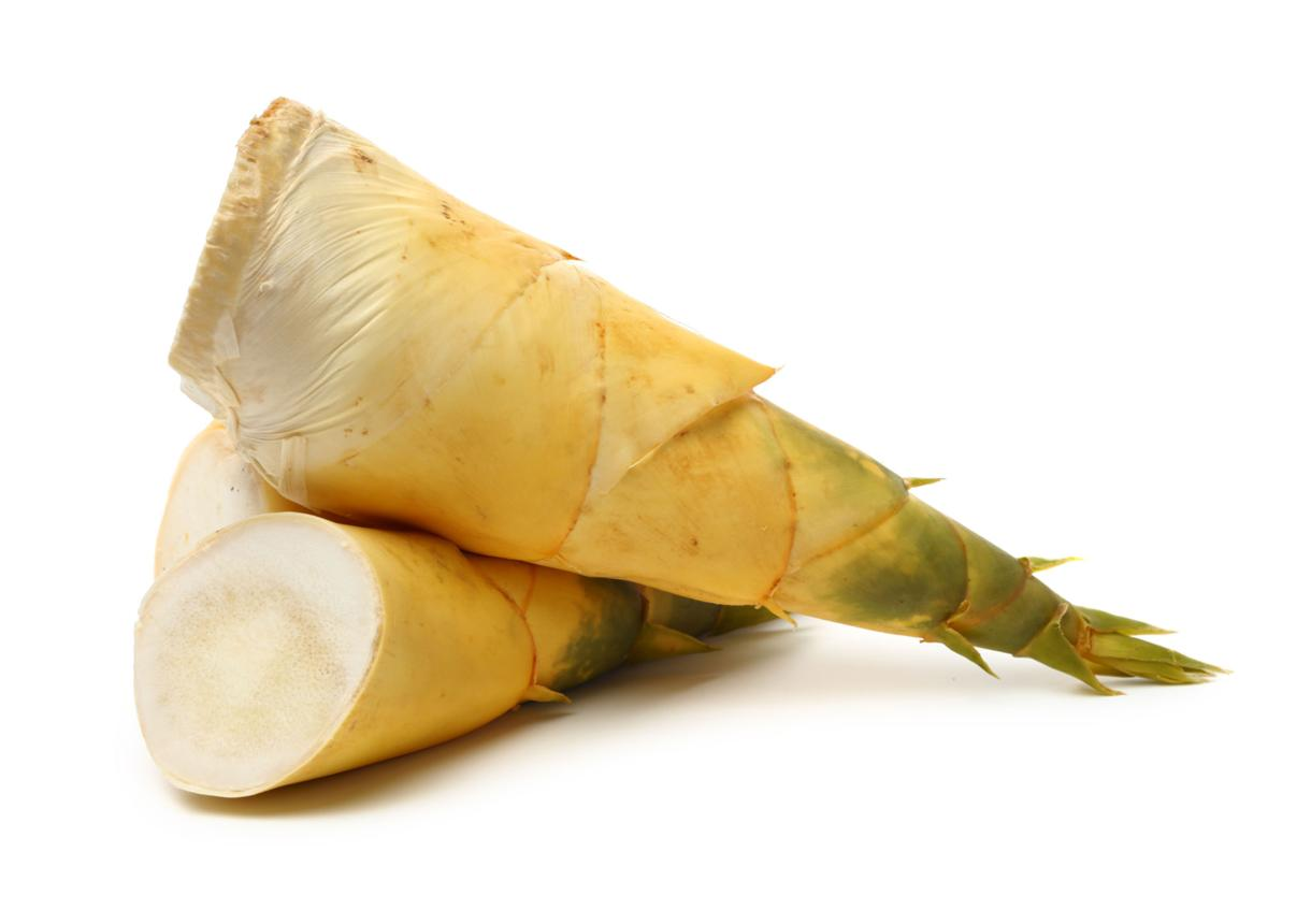 <p>bamboo shoot (n)</p>