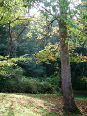 <p>The natural world including land, water, weather, and living things.</p>