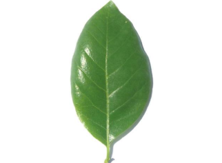 <p></p>