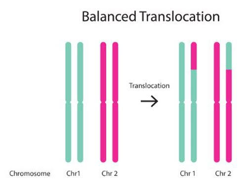 <p>Reciprocal translocations where no genetic material is lost/gained, net is 0 between ≥2 chromosomes</p>