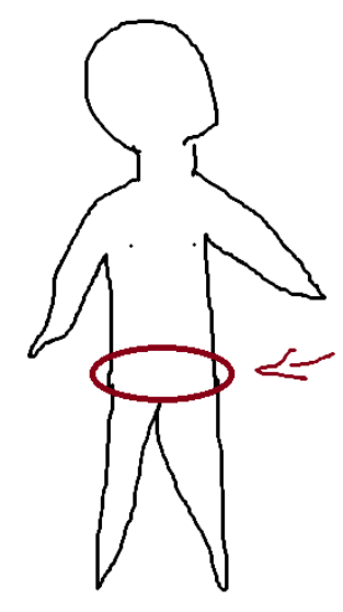 <p>Lower anterior region of the trunk</p>