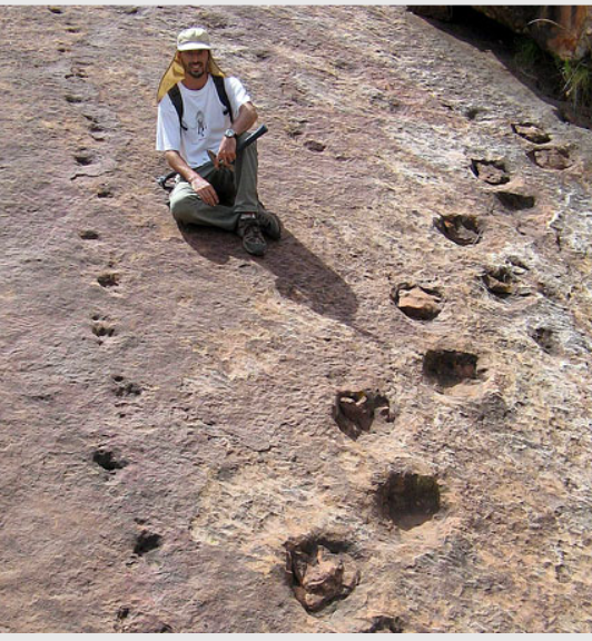 <ul><li><p><span style="background-color: transparent;">Fossils left behind by organisms that show us where it spent part of its life</span></p></li></ul><ul><li><p><span style="background-color: transparent;">Usually indicates movement, what it ate, and nesting habits</span></p></li></ul><p></p>