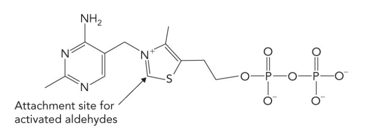 <p>What is the name of this molecule</p>