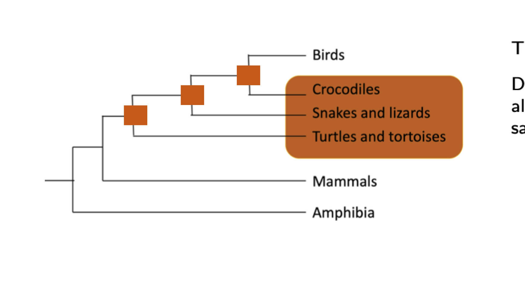 <p>contains a node and some, but not all, of its descendants. Either on the tree, or more generally</p><ul><li><p>the group reptiles does not include birds although they descended from the same common ancestor</p></li></ul><p></p>