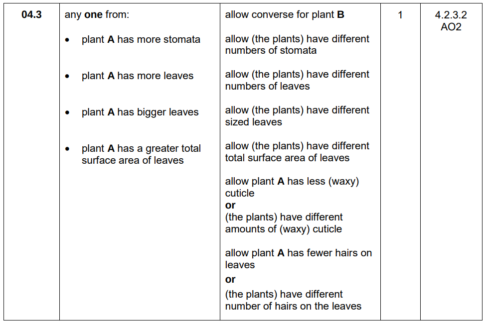 <p>Plant A has more stomata.</p>