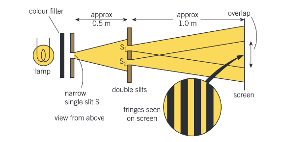 <p>The two slits act as coherent sources of waves.</p><p>A laser as a source of coherent monochromatic light. (be careful as it could damage the retina if directly shone into the eye)</p><p>The double slit arrangement is illuminated by light from the narrow single slit. Alternate bright and dark fringes, referred to as Young’s fringes, can be seen on a white screen placed where the diffracted light from the double slits overlaps. The fringes are evenly spaced and parallel to the double slits.</p>