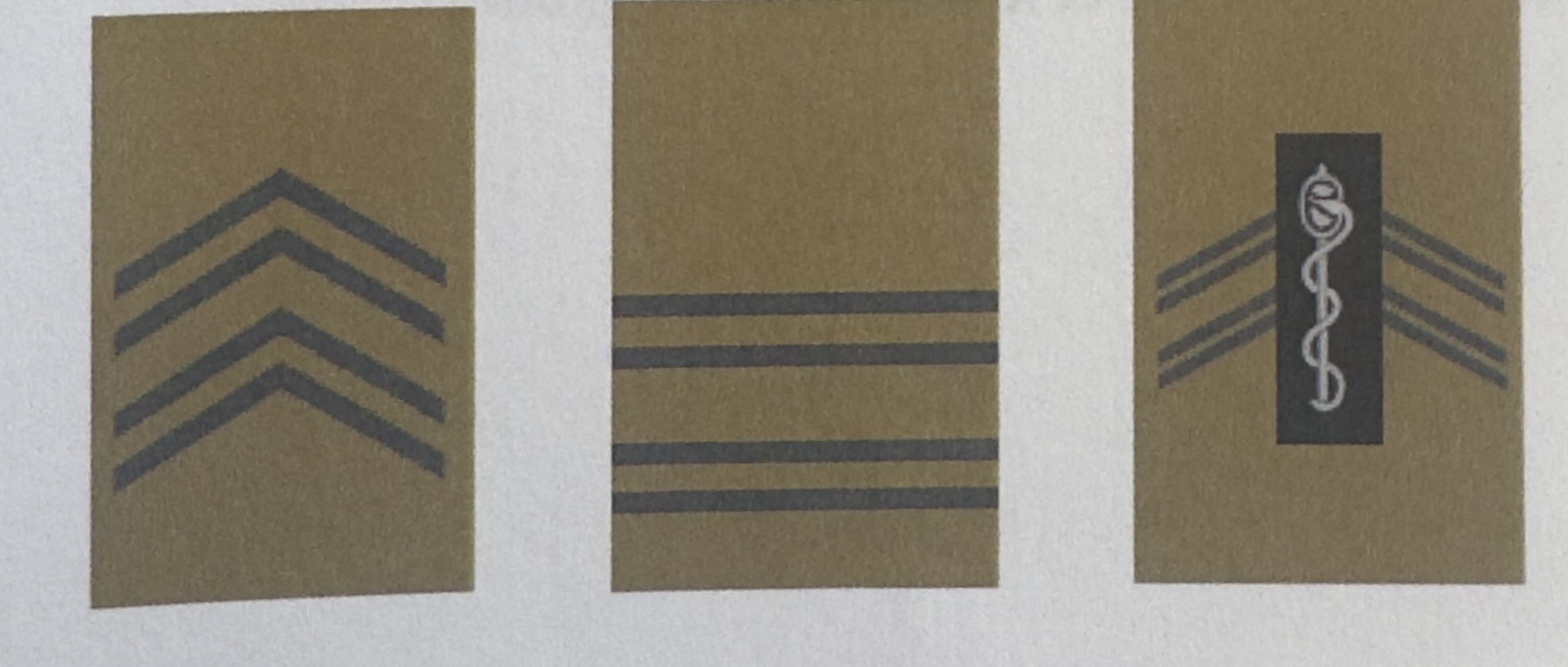 <p>Sous-officier subalternes 2/7</p>