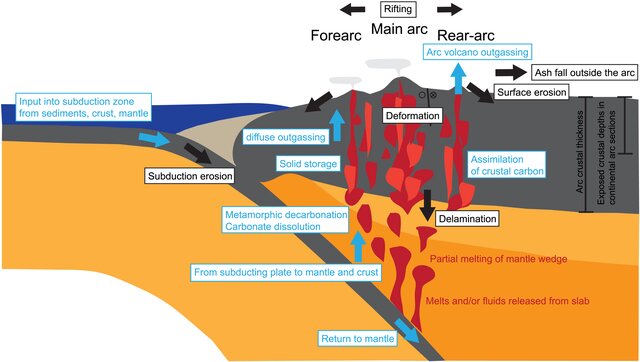 <ul><li><p>forearc region between trench &amp; ac often containing accretionary wedge</p></li><li><p>volcanic arc</p></li><li><p>backarc region behind arc may experience extension</p></li></ul><p></p>