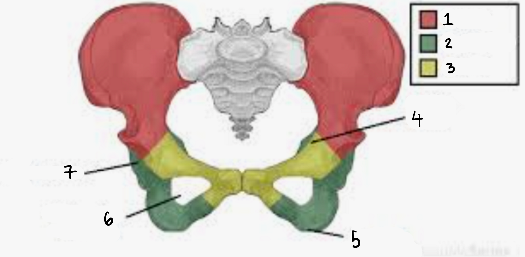 <p>3? </p>