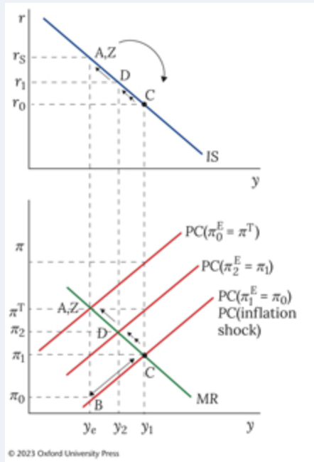 <p>negative inflation shock </p>