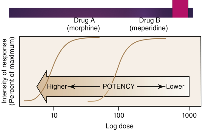 <ul><li><p><strong>the amount of a drug required to produce an effect</strong></p></li><li><p>more of a less _ drug is needed to produced a desired effect equivalent to that of a more _drug</p></li><li><p>review proper dose of each drug before prescribed</p></li></ul><p></p>