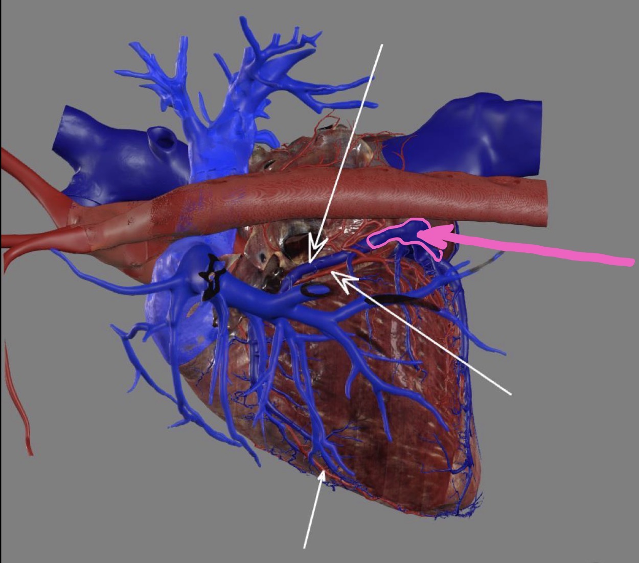 <p>What’s the highlighted area?</p>