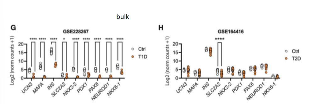 <p>scRNA-seq reveals impaired beta cell maturations and development in young mice. they compared their findings to bulk RNA-seq datasets from human islets of donors w t1d and t2d; the genes downregulated in the young mice that did LT IF showed a similar pattern of downreg in smaples from pts w t1d but not those w t2d</p>