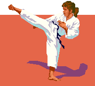 <p>Sports where people learn to fight using their hands and feet.</p>