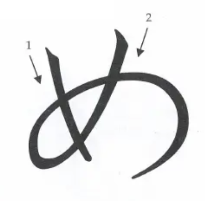 <p>image</p>