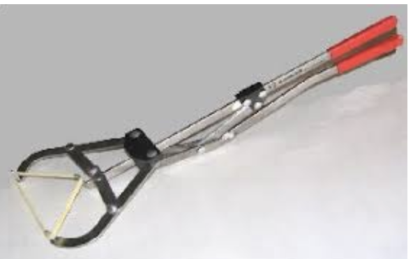 <p>Bloodless, the band is so tight it cuts the circulation off causing the scrotal sack atrophy and to fall off making the bull a steer. Used on smaller calves</p>