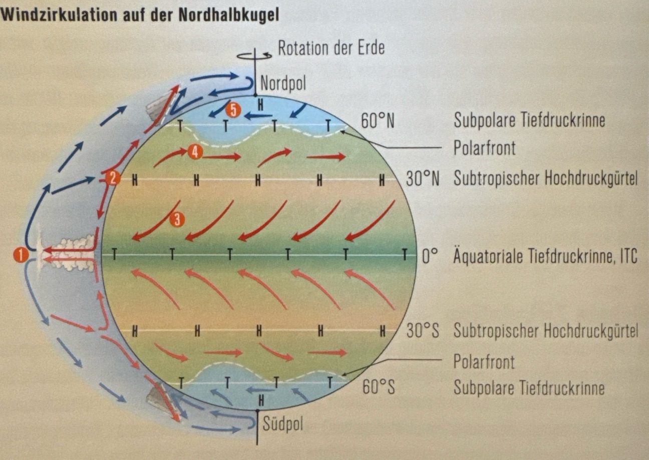 <p>In der Äquatorzone entsteht eine hochreichende Zirkulation. Unterstützt durch die Konvergenzwirkung steigt die erwärmte Luft sehr hoch und fliesst gegen die Pole ab (1).</p><p>Durch die ablenkende Kraft der Erdrotation, die Coriolis-Kraft, werden polwärts strömende Luftmassen nach Osten und äquatorwärts strömende Luftmassen nach Westen abgelenkt. Ein Teil der Luft sinkt bei etwa 30° nördlicher und südlicher Breite bereits wieder ab und bildet dort den subtropischen Hochdruckgürtel (2).</p><p>Von da strömt die Luft als sogenannter Passat-Wind zurück in Richtung der äquatorialen Tiefdruckrinne (3). Der andere Teil der Luft wird auf seinem Weg zu den Polen immer stärker durch die Corioliskraft abgelenkt, so dass aus dem ursprünglich nord- bzw. südwärts gerichteten Wind ein Westwind wird (4). Die Zone zwischen dem subtropischen Hochdruckgürtel und etwa 60° nördlicher und südlicher Breite wird deshalb Westwindzone genannt. In dieser Westwindzone trefen die warmen Luftmassen aus den Tropen auf die kalte Luft der Nord-Ost-Winde, die von den Polen heranströmt (5).</p><p></p><p>Die Front zwischen diesen Luftmassen ist sehr instabil und es kommt daher ständig zu Verwirbelungen. Aus diesen Verwirbelungen entstehen die Zyklonen, die das Wettergeschehen der gemässigten Breiten wesentlich beeinflussen. Ausserdem findet über diese Wirbel der Luftaustausch zwischen der kalten Polarluft und der warmen Tropenluft statt. Diese Front heisst Polarfront.</p>