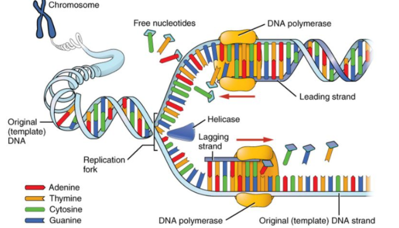 <p>Know this like vaguely</p>
