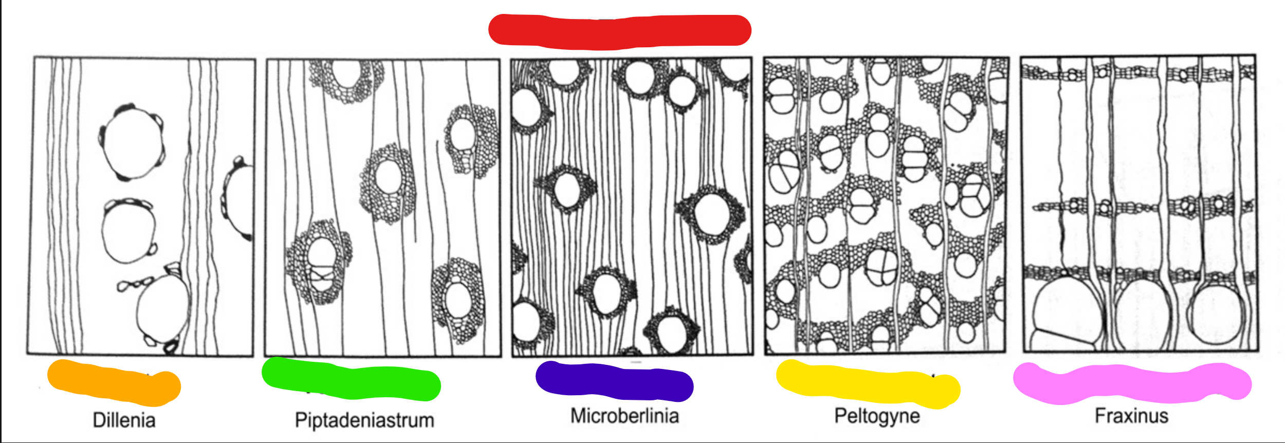 <p>Name all this shiz and tell me what the signs are </p>