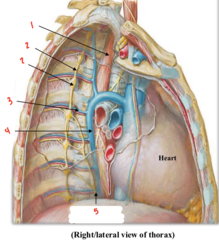 <p>What is labeled 1?</p>