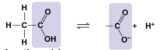 <p>What group?</p>