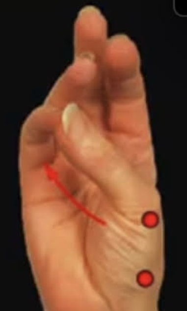 <p>The special movement where every finger can touch the thumb</p>