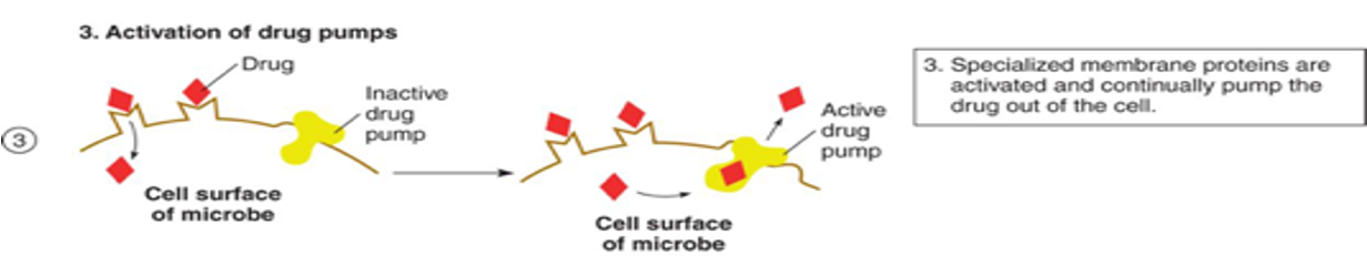 <p>microbe activates transport pumps to move the drug out of the cell</p>