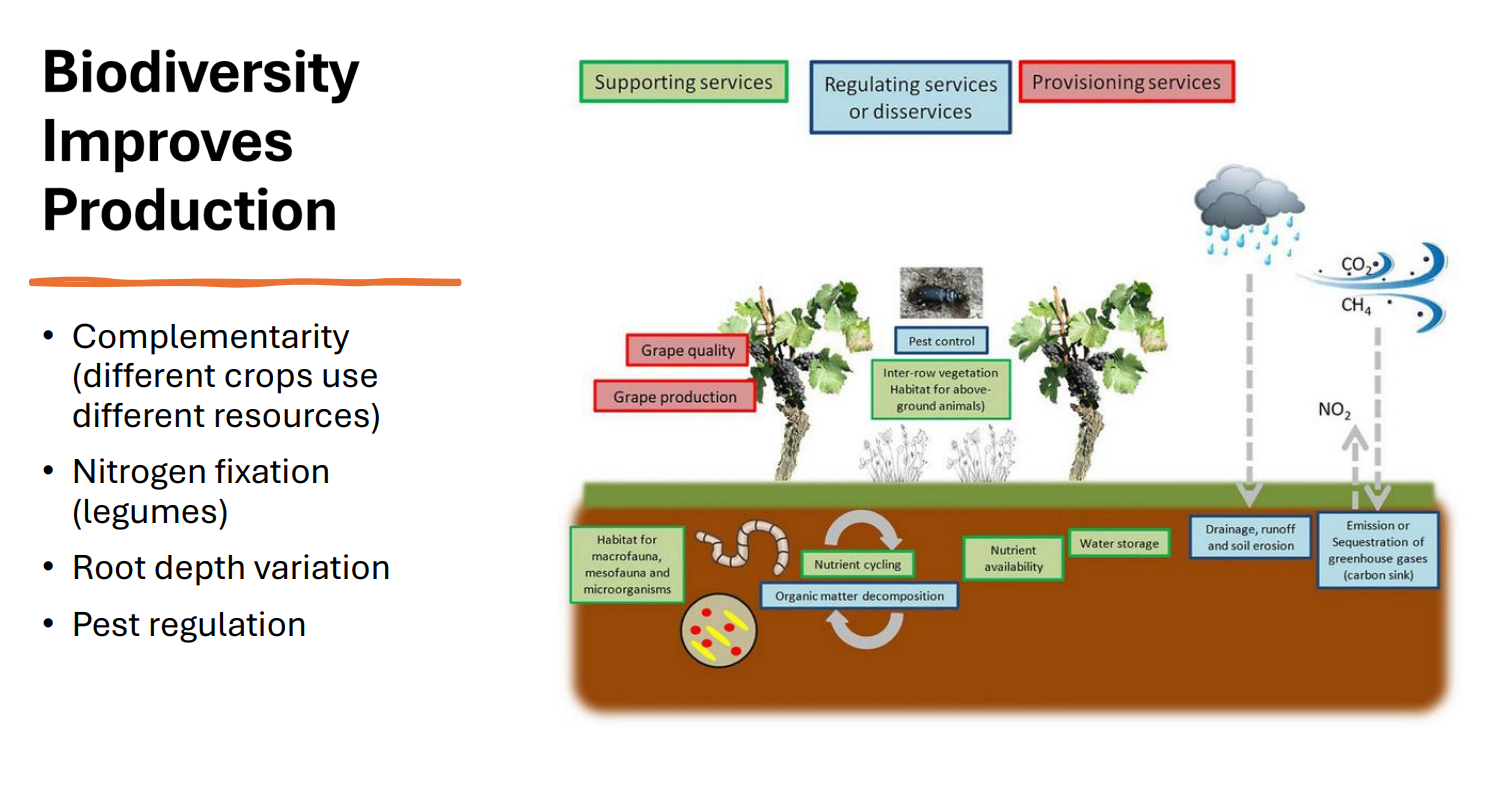<p>Biodiversity Improves Production</p>