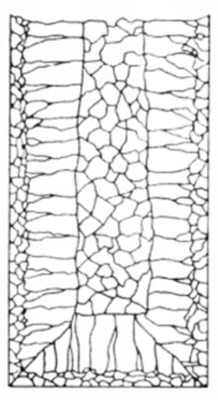 <p>Middle layer</p>