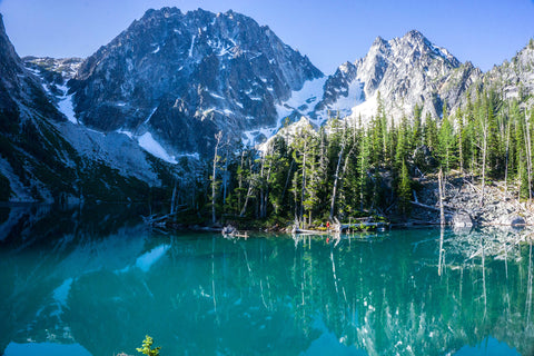 <p>Odd temp curves notices that cna be due to </p><ul><li><p>geothermal sources</p></li><li><p>heat produced by bacteria</p><ul><li><p>ex) lake Mead and Lake Washington</p></li></ul></li></ul><p></p>