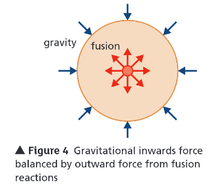 <ul><li><p>Forces within it are balanced</p><ul><li><p>Gravity acts inwards trying to make star contract</p></li><li><p>Force f/ fusion reactions (radiation pressure) in core acts outwards trying to make star expand</p></li></ul></li><li><p>Forces are in equilibrium — stay in equilibrium until most hydrogen nuclei in core fused together to form helium nuclei</p></li></ul><p></p>