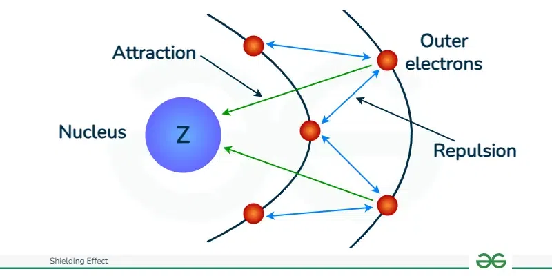 <p>repulsion from the inner electrons (successive shells are larger than the previous shells, spend more time farther from the nucleus)</p>