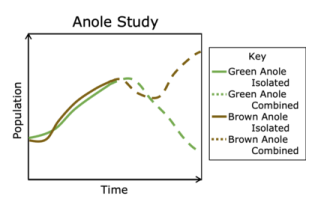 <p>What was the final observed difference between native green anoles and invasive brown anoles in the Southern U.S.?</p>