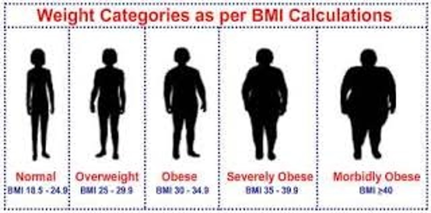 <p>BMI=(weight in kg)/(height in m^2)</p><p>metric</p>