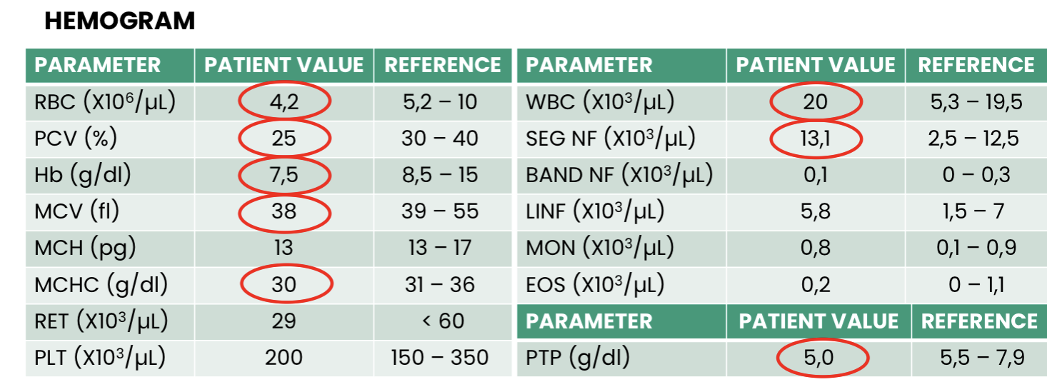 <p>Q1. What does this hemogram show?</p><p>Q2. What is the ethology of this anemia?</p><p>Q3. Finally, what is the conclusion?</p>